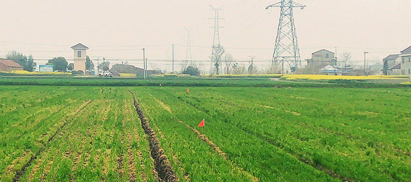 圖片關(guān)鍵詞 圖片關(guān)鍵詞